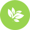 Aiguille - Domaine Phytosanitaire
