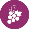 Aiguille - Domaine Vinicole